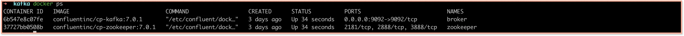 Docker ps output